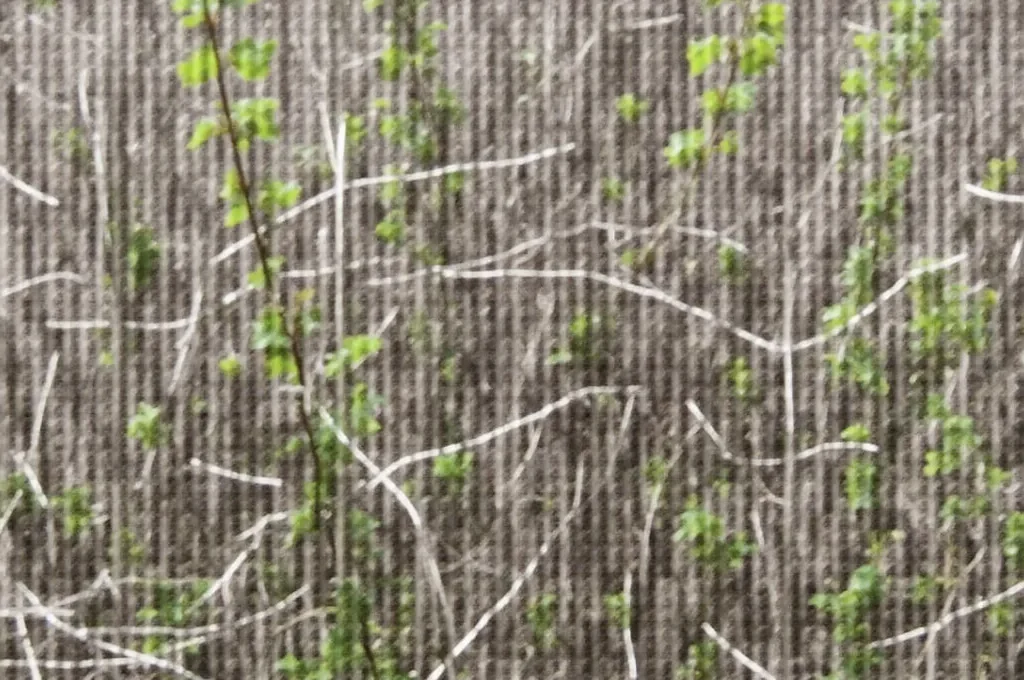 Kontrastdarstellung zwischen pompöser Hotellobby und gemütlichem Boutique-Hotelzimmer